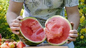 Team Gesund battelt mit Melone. Food Fight